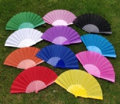 Custom plastic folding fan