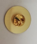 Lapel pins